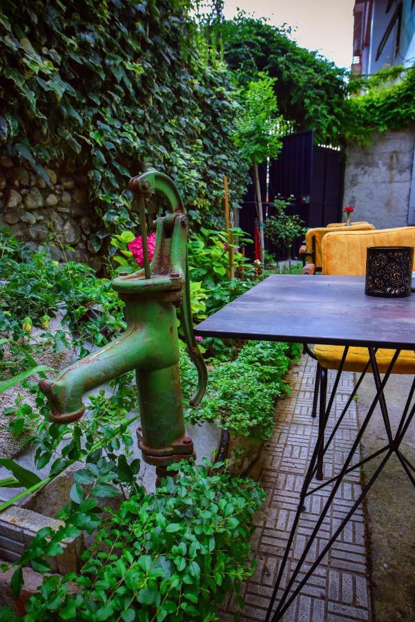 12 B&B Shkodër Екстериор снимка